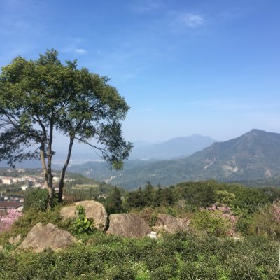 Oo_Oopigpig's profile picture. 