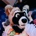 Duffy (@Duffy_Catnap) Twitter profile photo