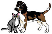 Humane Haven Animal Shelter (HHAS) is a not-for-profit 501(c)3 organization dedicated to the preservation and protection of the dogs & cats of our communities.