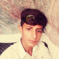 Muhammad Saqib (@muhamma16213478) 's Twitter Profile