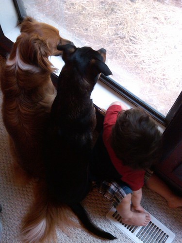 Pnugz's profile picture. Father, husband, diehard Caniac, sports and weather fan.