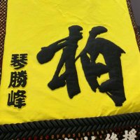 琴勝峰柏後援会 (@bihna02xepixxp5) 's Twitter Profile