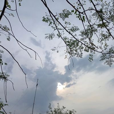 @ali_kns