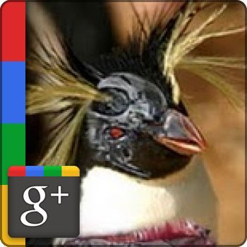 pternahan's profile picture. Android Enthusiast....