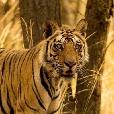 Eli83372928's profile picture. 