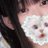 momo_knbk