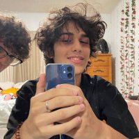 noel_isnt_here (@isntnoel) 's Twitter Profile