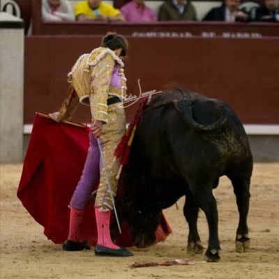 Que solo mande el corazón.