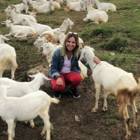 SiBEL KURT (@sibel_kurt) 's Twitter Profile Photo SiBEL KURT (@sibel_kurt) 's Twitter Profile Photo