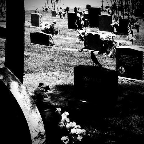 mortuarymadam's profile picture. Punk Rock, Artistic, Photographer, Writer, Death, Tattooed, Sarcastic, Dyslexic, Blunt, Loud, Fun and Madly in Love. Witness to all things Morbidly Beautiful.