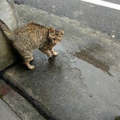 JO2pHOEpqNDRQw4's profile picture. 