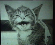 curlywine's profile picture. Log off, it's great