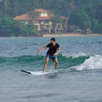 Tom (@tommyleebtc) 's Twitter Profile