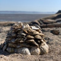 Lorna Swinney (@lornaswinney) 's Twitter Profile Photo