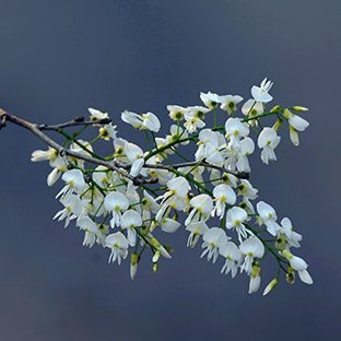 Leanguyen89's profile picture. I'm Marketer