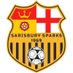 SarisburySparksFC (@ssparksfc) Twitter profile photo SarisburySparksFC (@ssparksfc) Twitter profile photo