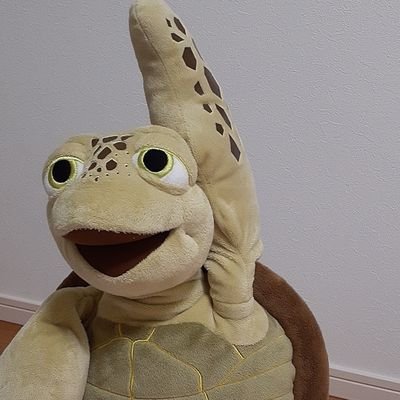 XCCa39oqSNEUQIC's profile picture. 