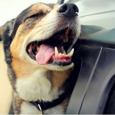 bobn18db's profile picture. 