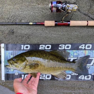 buchi06676748's profile picture. 何事も戯れを大切にしています。