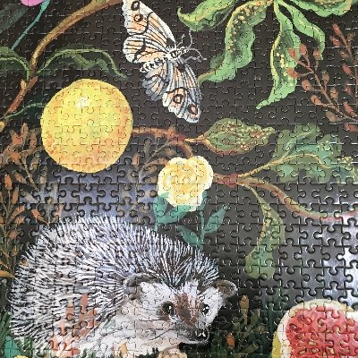 QfnKTCL8aSWVbSs's profile picture. 