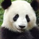 Vera Lyon - @VeraLyon - Twitter