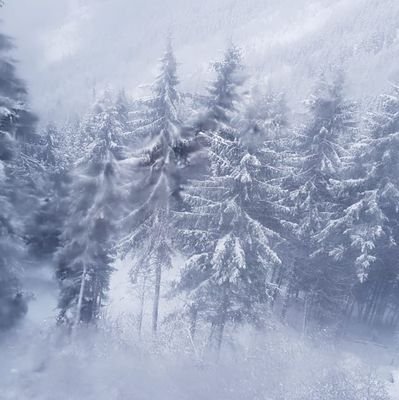 MisterK38708408's profile picture. 