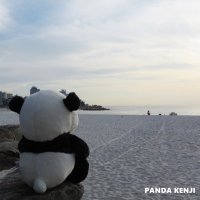 PANDA_KENJI_NEWS(@PANDA_KENJ2) 's Twitter Profile Photo