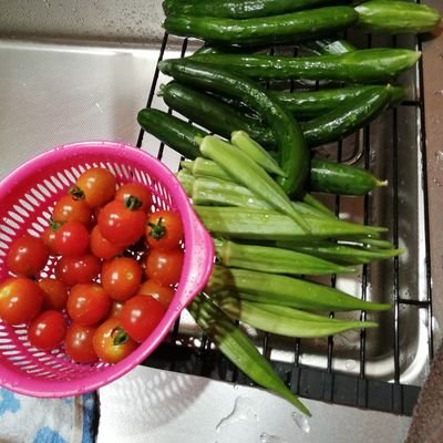 fAWUPc6M9eAOEz1's profile picture. 3人の子どもの子育てを楽しみつつ、子どもに育ててもらっている父です。