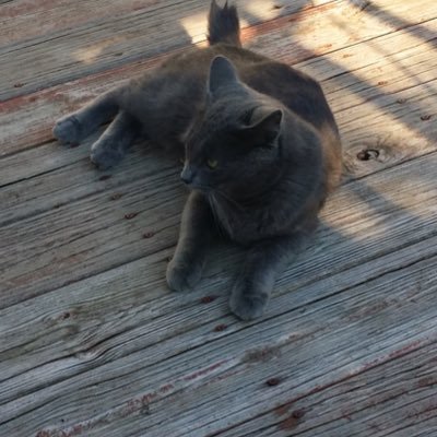 vpascual37's profile picture. I am a blast