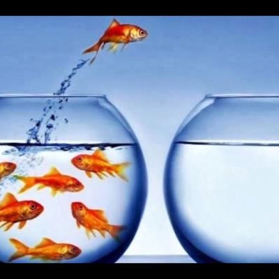 frobnitz_ronald's profile picture. 