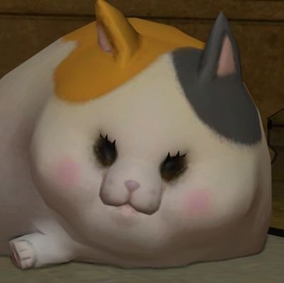 朝祈さんのプロフィール画像