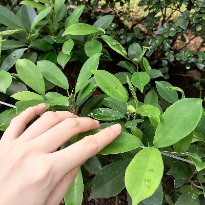 Mhaimy0302's profile picture. Every people have EVIL side

Fb:myramariñas
Ig:mhaimhay_02