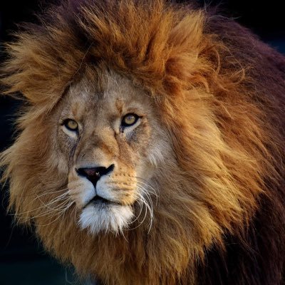 sirakiy's profile picture. 