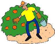 BlakePYO's profile picture. Helping people find local PYO / U-Pick farms, farm markets, pumpkin patches, honey, farm markets, canning directions, cropcalendars & more, all on the website!