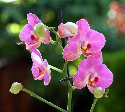 Reed_CRIF's profile picture. I'm perfect !