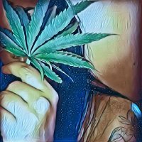 Sempre Chapada 🍁 (@tochapadaf1) 's Twitter Profile