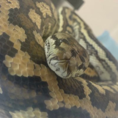 meganekaimasita's profile picture. 書く。