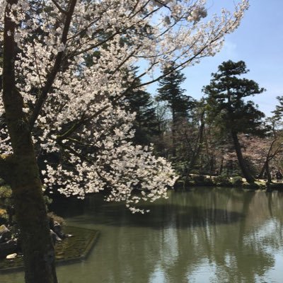 ThesecretPsyc10's profile picture. Trainee Psychotherapist, Psychologist & coach. I have to maintain some neutrality for clients and I want to talk about what interests me.