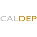 California Deposition Reporters Profile