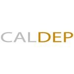 We provide quality deposition reporting services to the legal community of Central Valley cities of California | 📧 info@caldep.com | 📞 (209) 478-3377