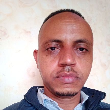 tafewond91's profile picture. A government official