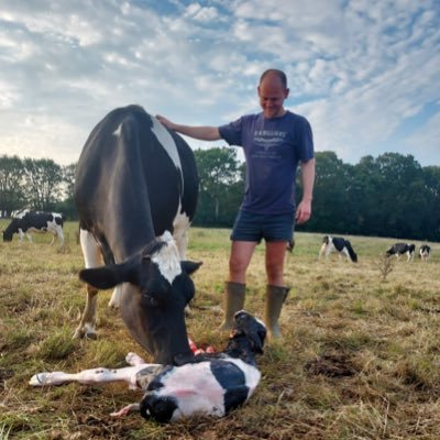 Contract farming 1100 organic ac- -Autumn block-Crops-Sheep- Worshipful Company of farmers Scholar-Tesco future farmer 2019-Pasturepoultry-Fabrication/creation