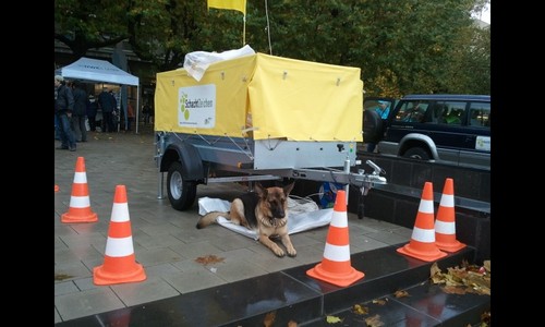 Der Hundegästeführer im Revier. Willkommen sind alle Gäste die ein Hund haben und ein bisschen in die Geschichte eintauchen möchten.