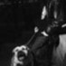 spiddy (@rhosaces01) Twitter profile photo spiddy (@rhosaces01) Twitter profile photo