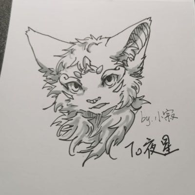 YH_Starknight's profile picture. 🇨🇳Furry@Boston MA🇺🇸 BU COM class of ’27, Aviation enthusiast. He/him. Straight ally. 大学生(新闻系硕士),飞友,兽人控; 坚决反对戒网瘾学校. ZH/EN ok. Viewer discretion is advised.