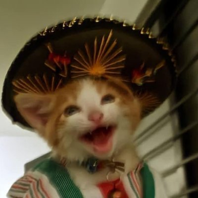 Elmacho92156133's profile picture. 