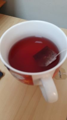 lilcaterpillart's profile picture. 25////Who just got a new twitter account to simp for pixels and not show it to her more normal acquaintances? Definitly not me