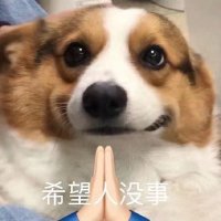 LingDu (@lingdu_c) 's Twitter Profile Photo LingDu (@lingdu_c) 's Twitter Profile Photo