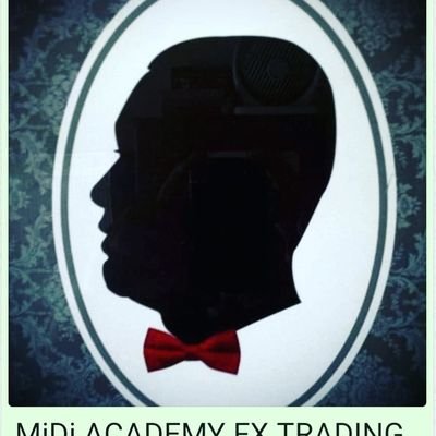 Owner & Professional of FX Trading Business on MiDiAcFX