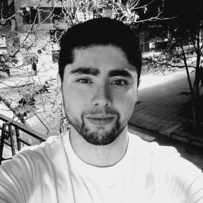 Interested in chess, engineering, business and data science.